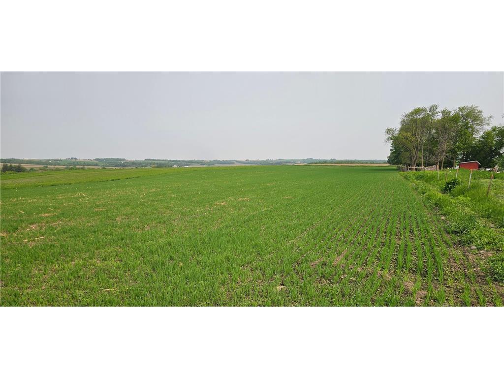 TBD 351st Avenue Amherst Twp MN 55939 6768904 image1