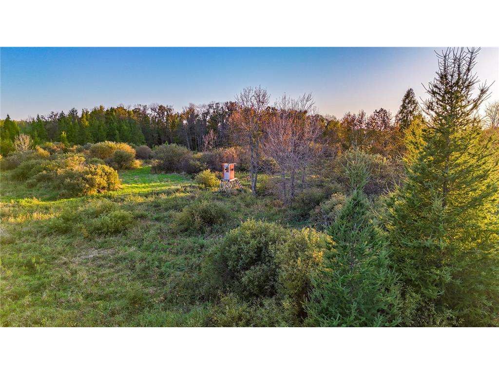 TBD 35515 State Highway 87 Silver Leaf Twp MN 56544 6824939 image10