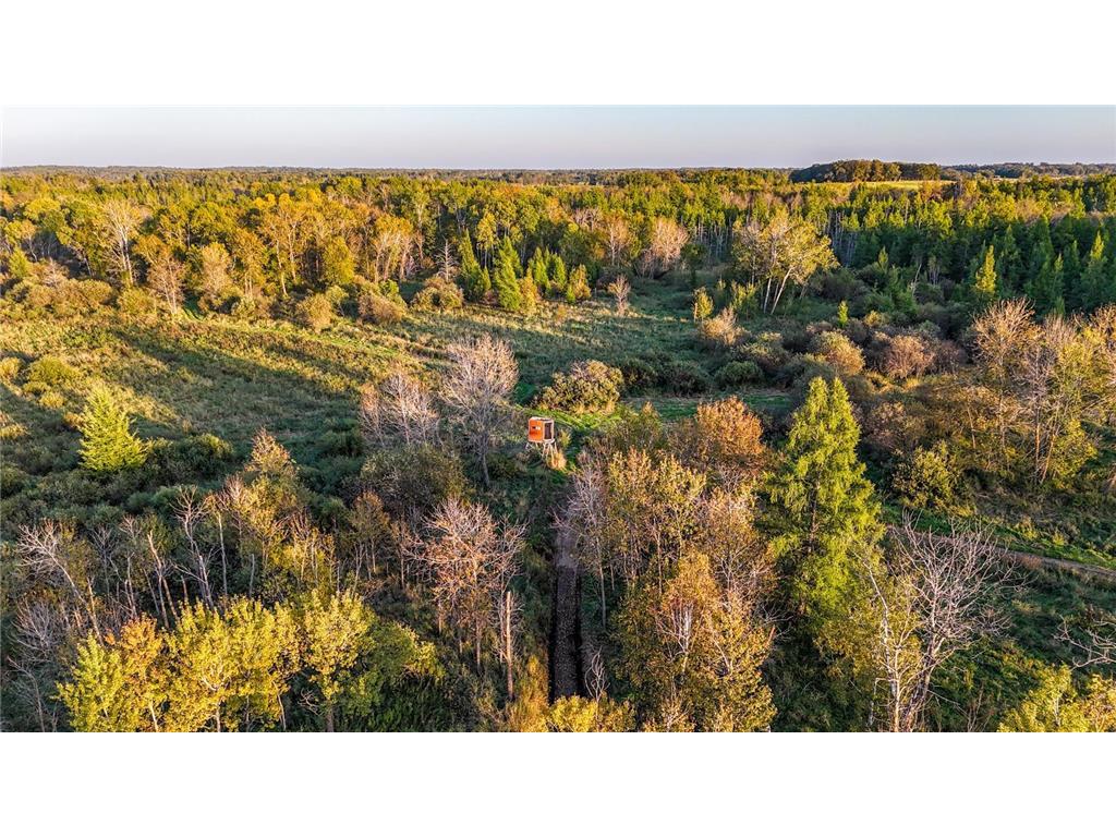TBD 35515 State Highway 87 Silver Leaf Twp MN 56544 6824939 image6