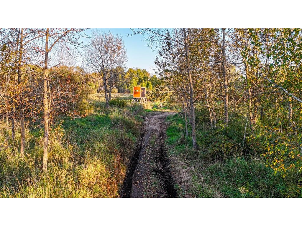 TBD 35515 State Highway 87 Silver Leaf Twp MN 56544 6824939 image7