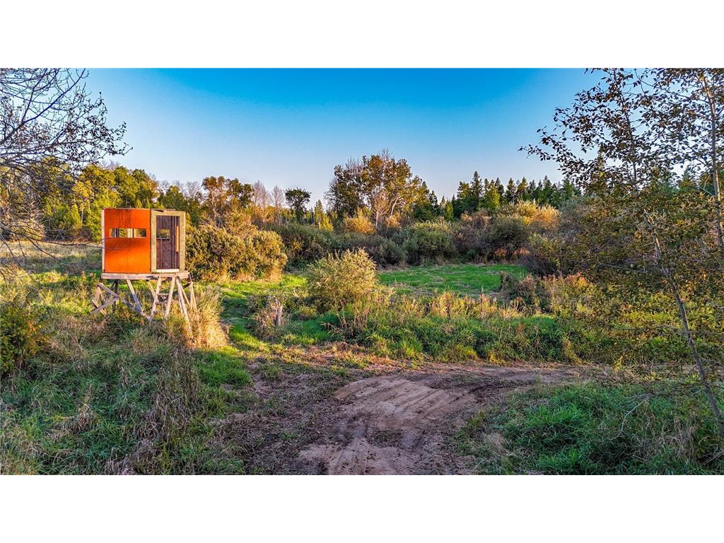 TBD 35515 State Highway 87 Silver Leaf Twp MN 56544 6824939 image8