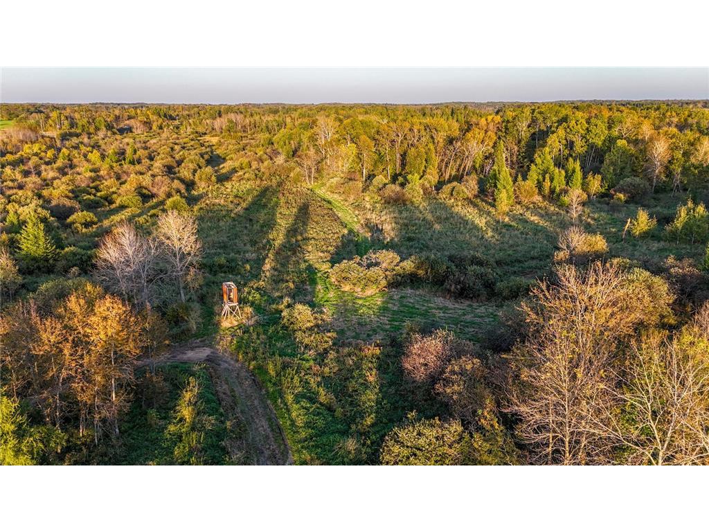 TBD 35515 State Highway 87 Silver Leaf Twp MN 56544 6824939 image9