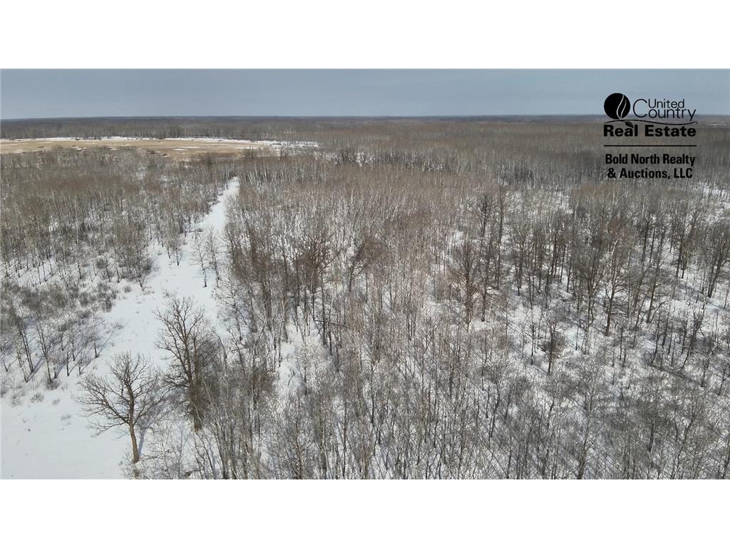 TBD 355th Street Caribou Twp MN 56735 7056091 image10