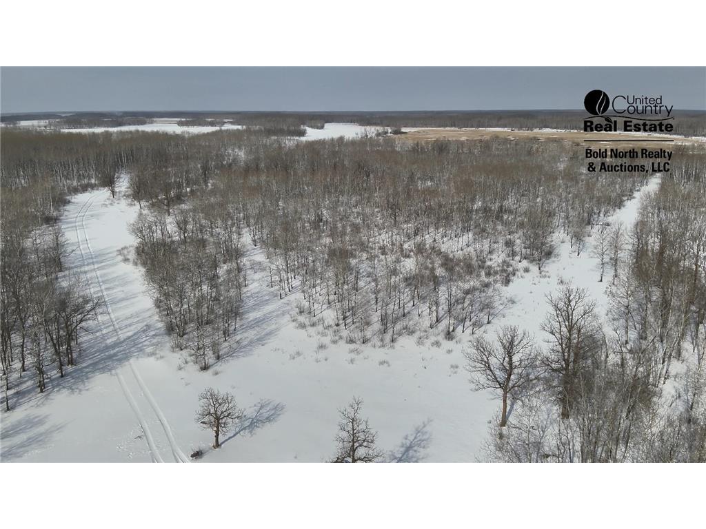TBD 355th Street Caribou Twp MN 56735 7056091 image11