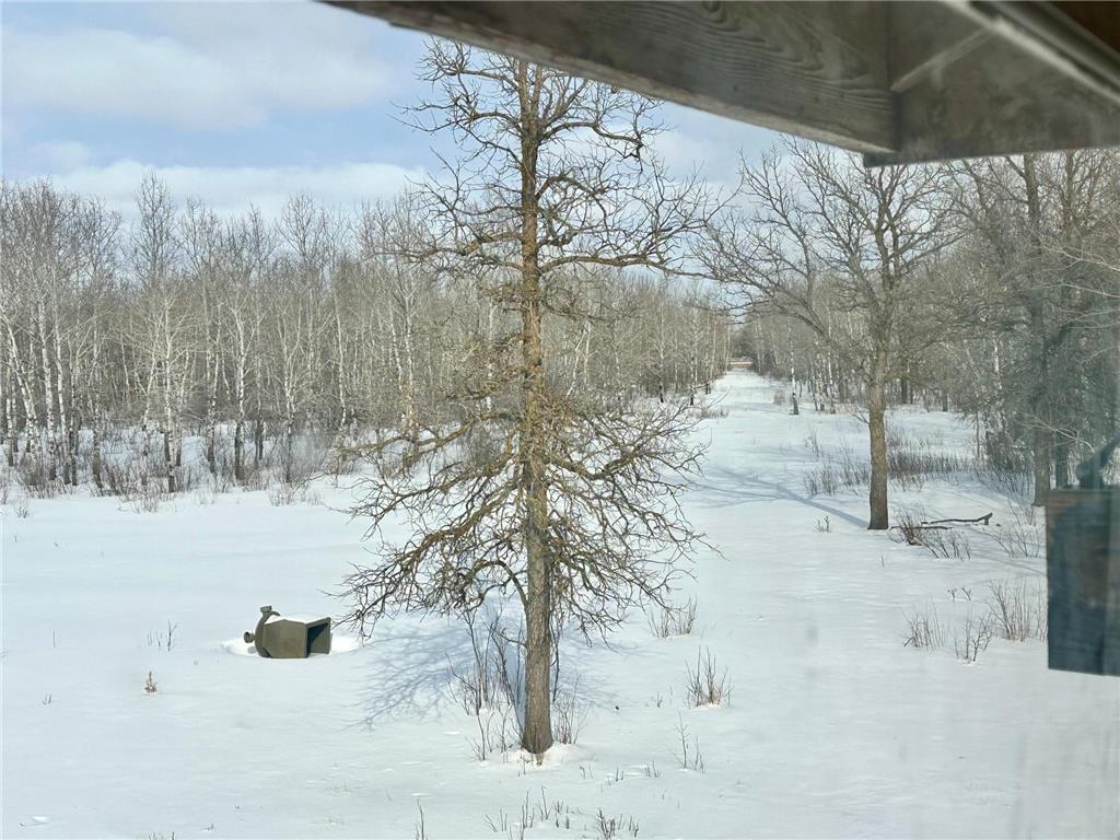 TBD 355th Street Caribou Twp MN 56735 7056091 image2