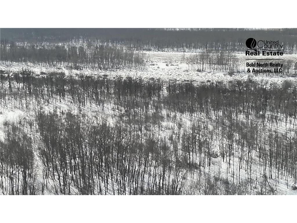 TBD 355th Street Caribou Twp MN 56735 7056091 image26
