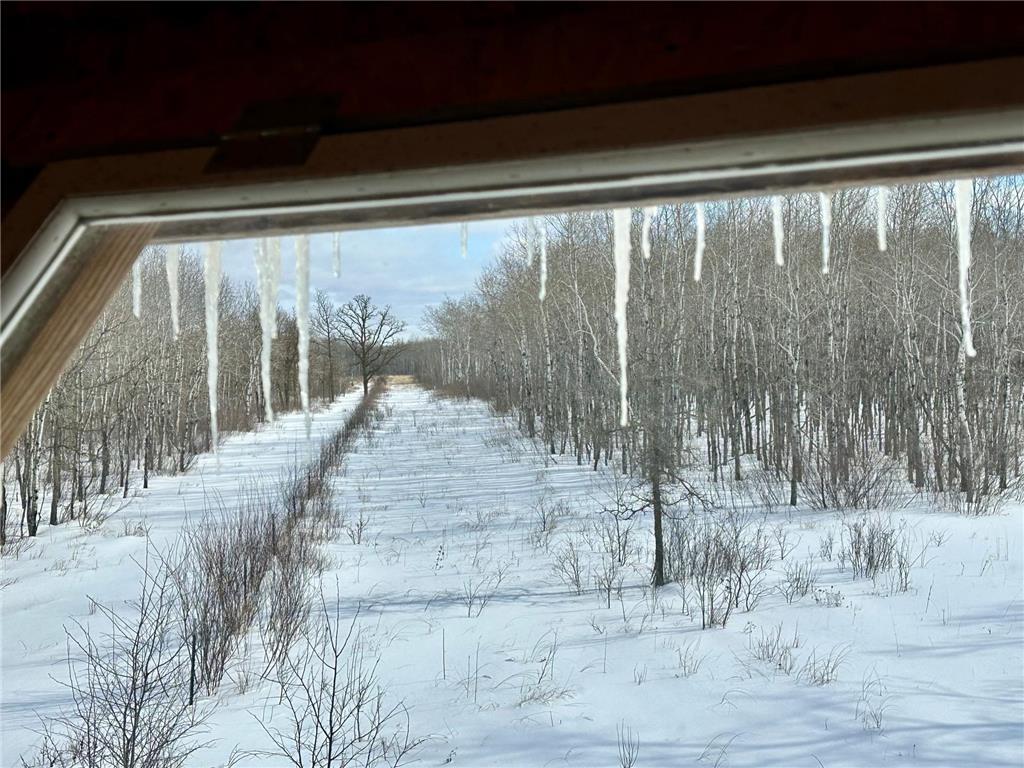 TBD 355th Street Caribou Twp MN 56735 7056091 image3