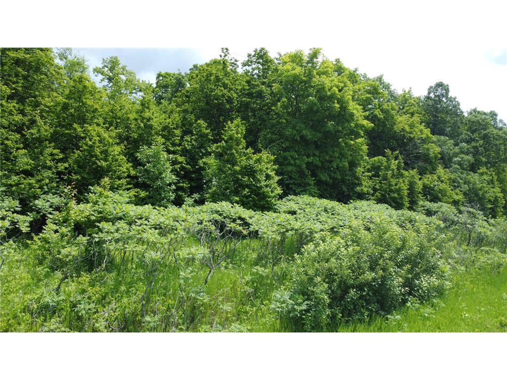 TBD 355th Street Rush Lake Twp MN 56576 7010688 image12