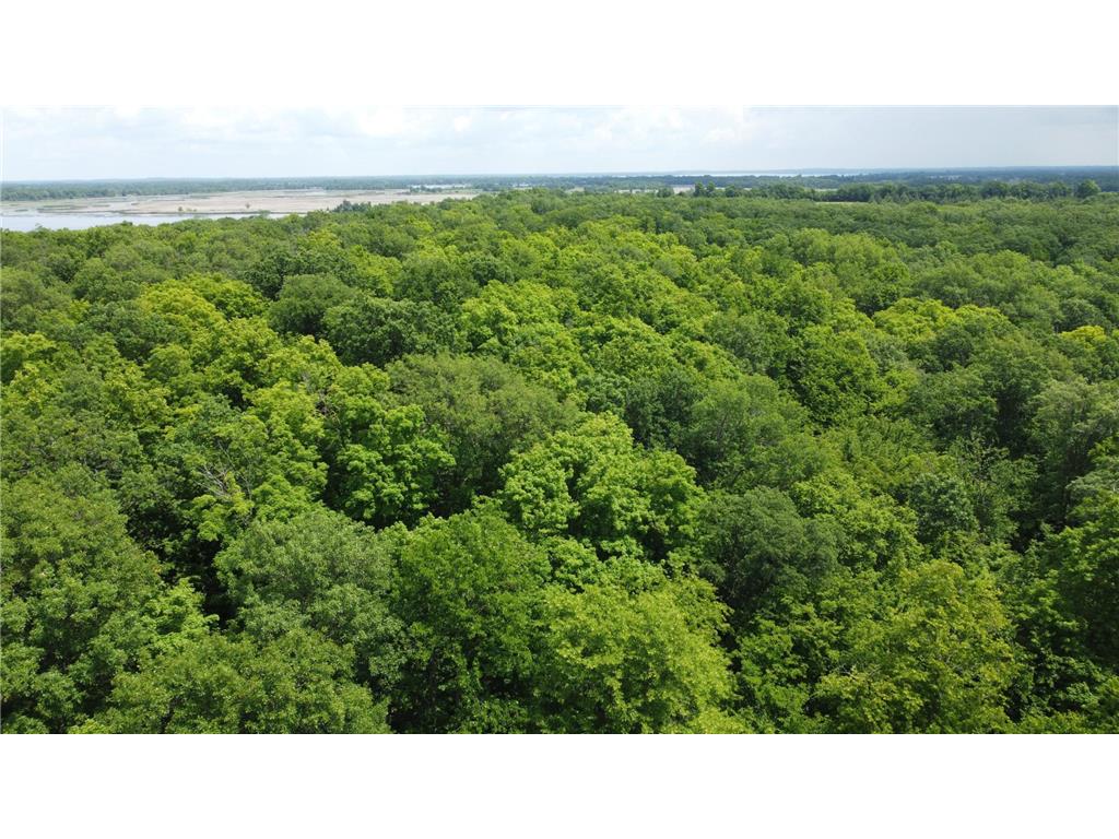 TBD 355th Street Rush Lake Twp MN 56576 7010688 image14