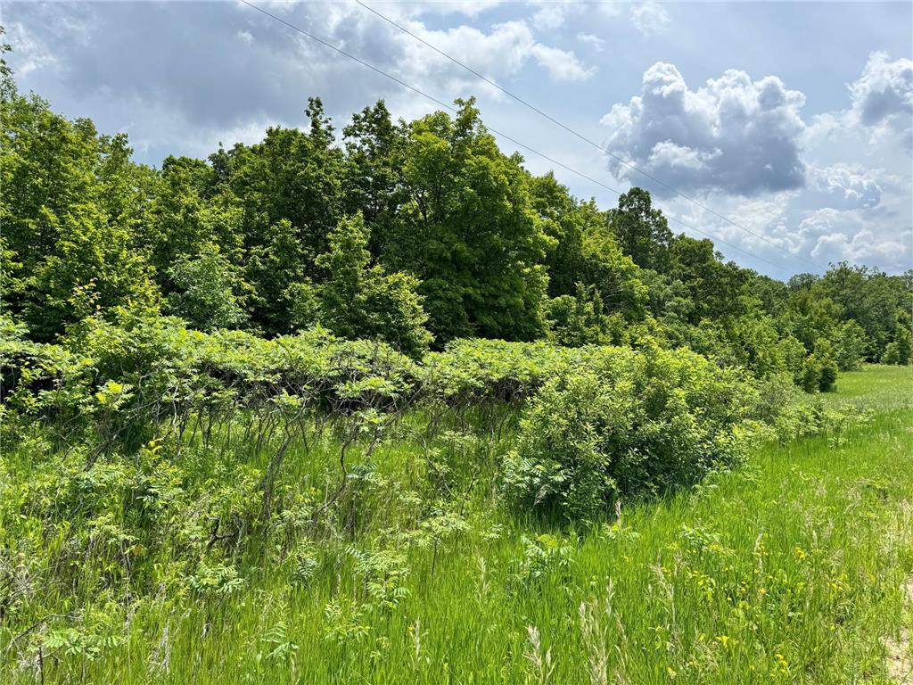 TBD 355th Street Rush Lake Twp MN 56576 7010688 image15