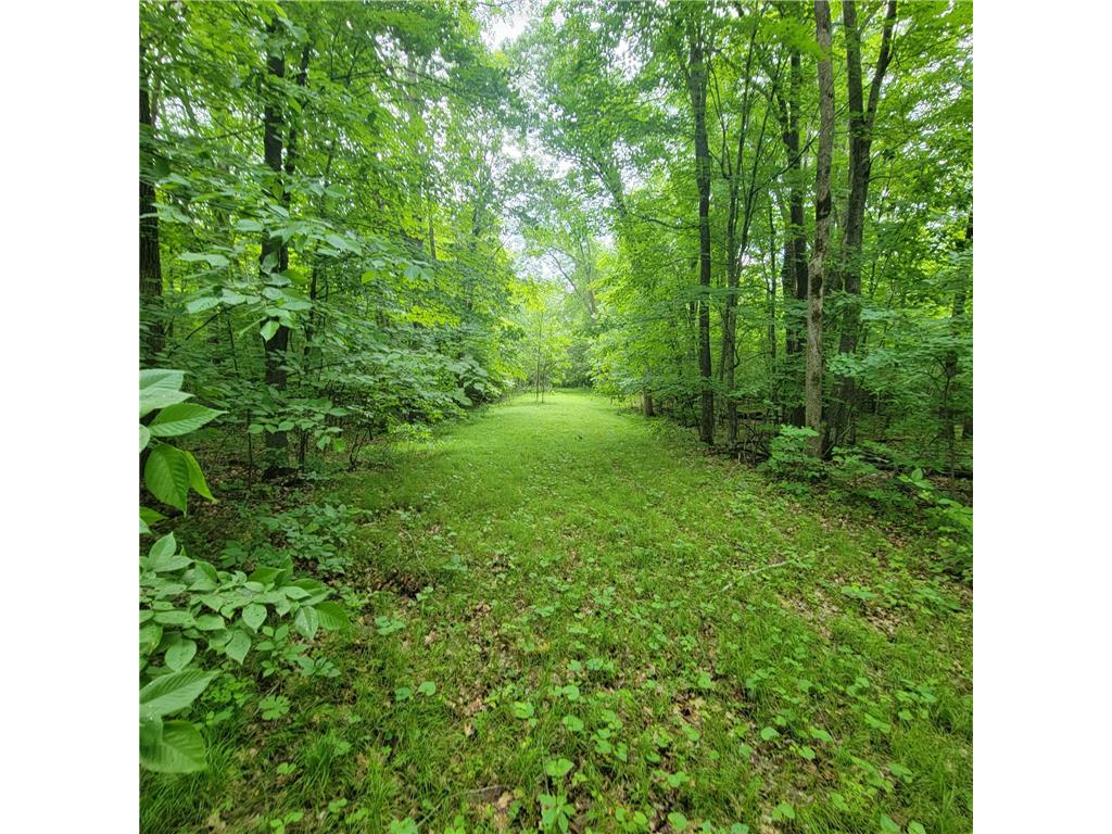 TBD 355th Street Rush Lake Twp MN 56576 7010688 image3