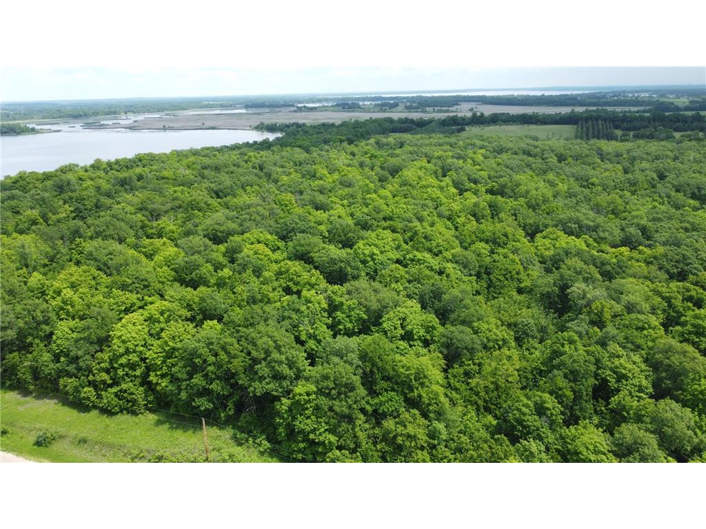 TBD 355th Street Rush Lake Twp MN 56576 7010688 image4