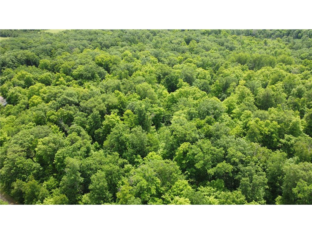 TBD 355th Street Rush Lake Twp MN 56576 7010688 image8