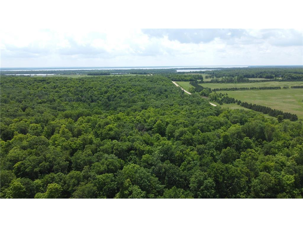 TBD 355th Street Rush Lake Twp MN 56576 7010688 image9