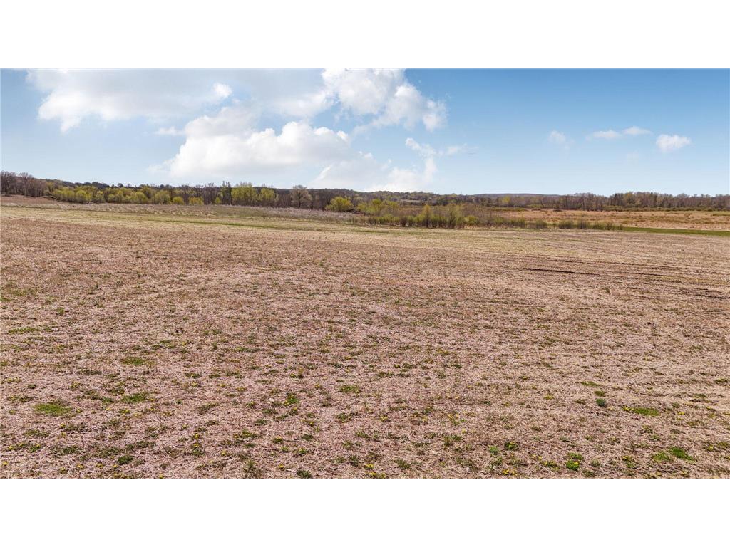 TBD 360th Street Avon Twp MN 56310 7076847 image2