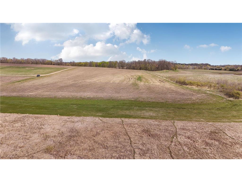 TBD 360th Street Avon Twp MN 56310 7076847 image3