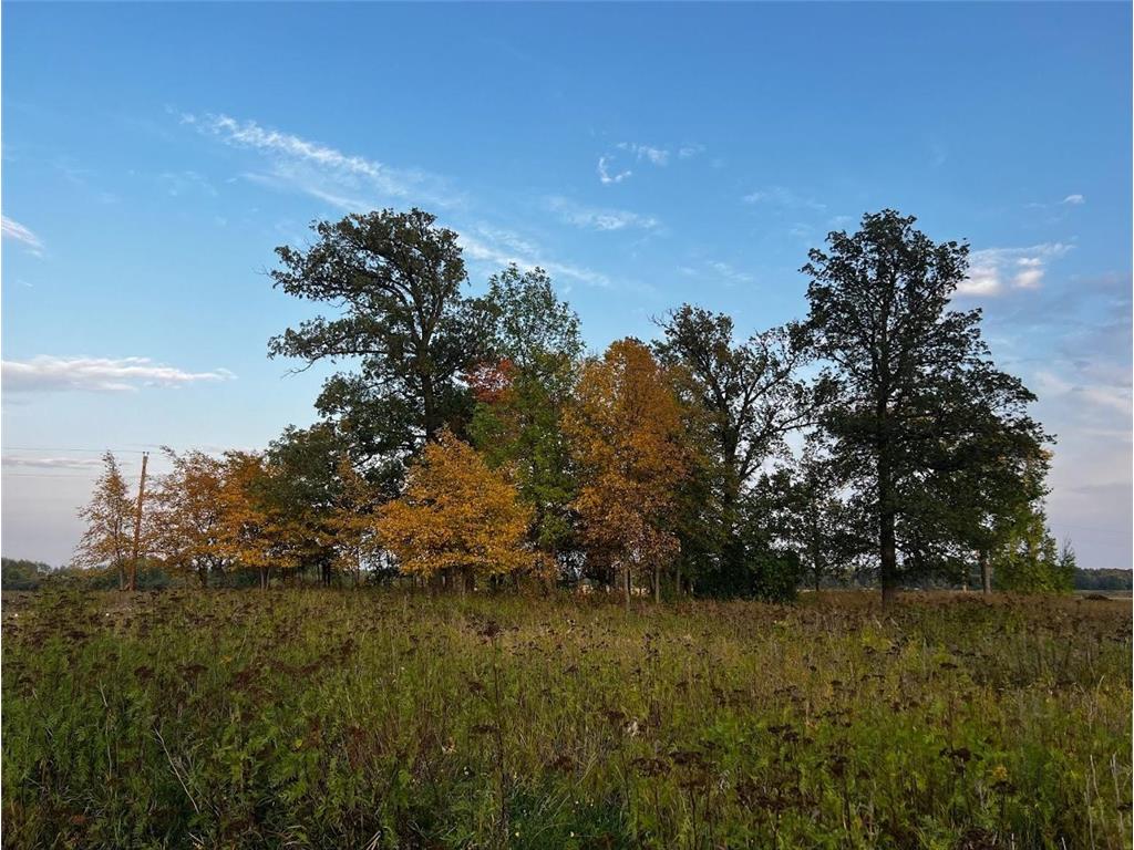 TBD 360th Street SE Woodside Twp MN 56535 6607283 image1