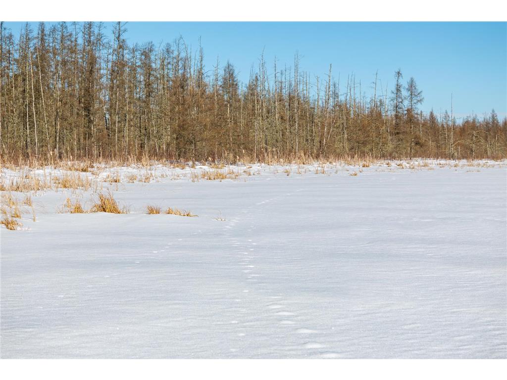 TBD 36th Avenue SW Pine River MN 56474 - Tamarack Lake 7017136 image3