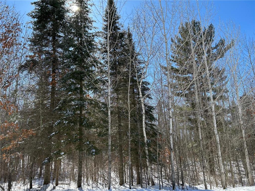 TBD 36th Street NW Akeley MN 56433 6687683 image1