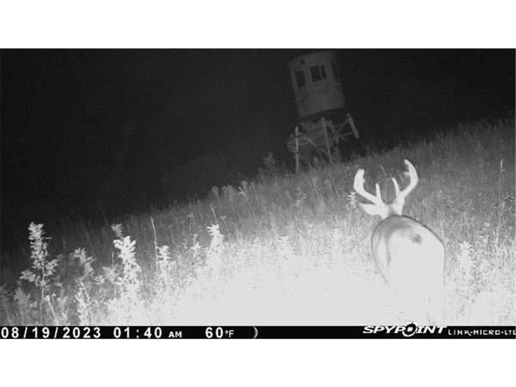 TBD 370th Ave. New Prairie Twp MN 56323 6386419 image1