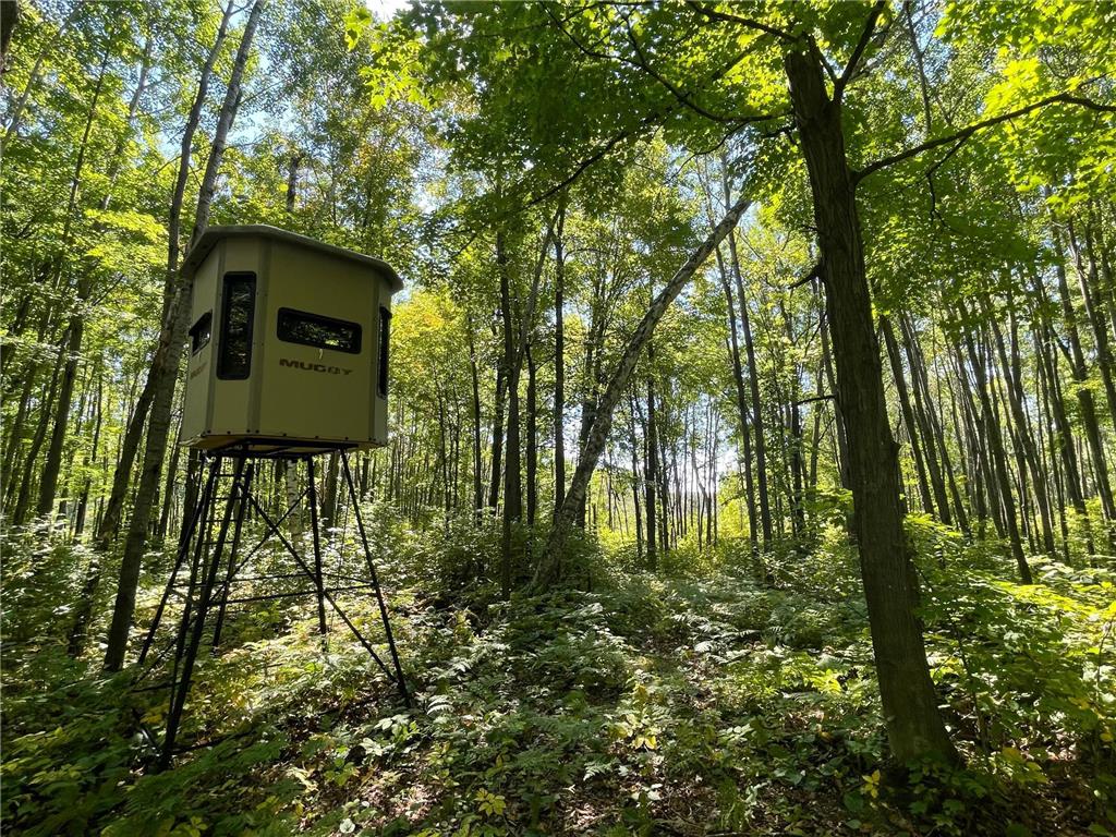 TBD 370th Avenue Sandstone MN 55072 6789914 image1