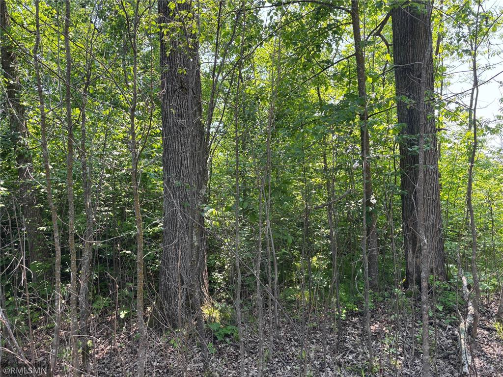 TBD 370th Lane Mcgregor MN 55760 6736647 image1