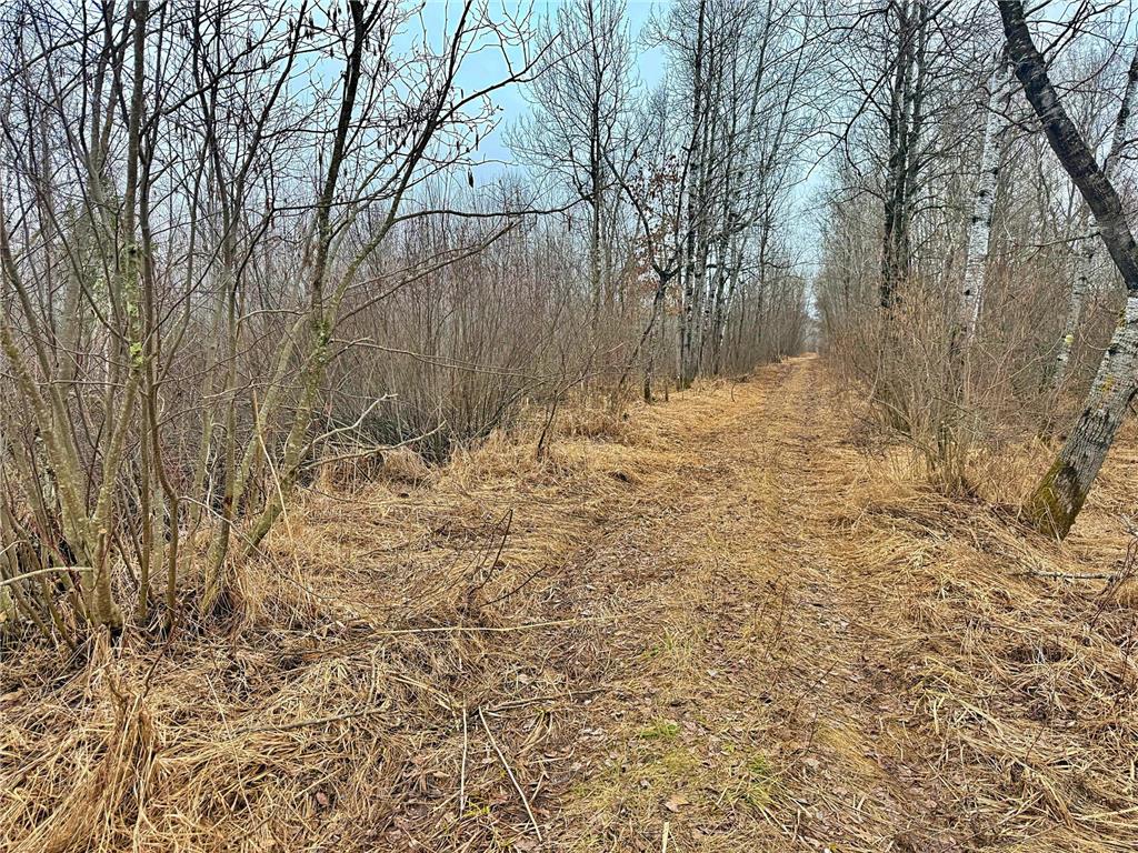 TBD 370th Lane Mcgregor MN 55760 7054536 image15