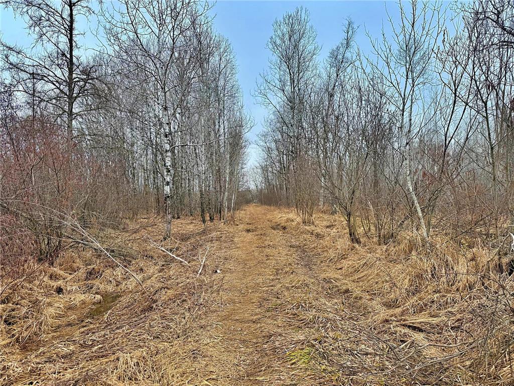 TBD 370th Lane Mcgregor MN 55760 7054536 image16