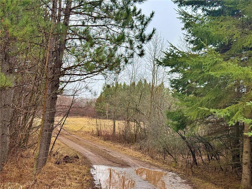 TBD 370th Lane Mcgregor MN 55760 7054536 image7
