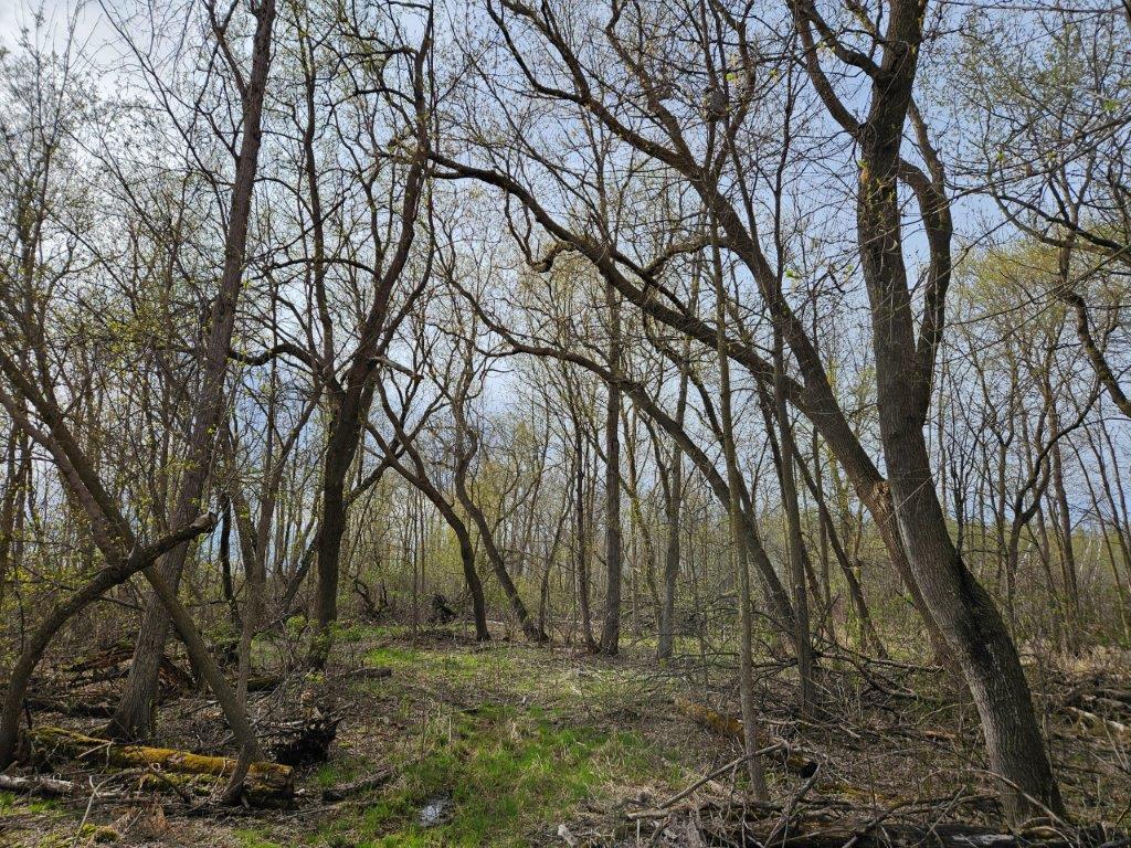 TBD 370th Street SE Fosston MN 56542 6535498 image1