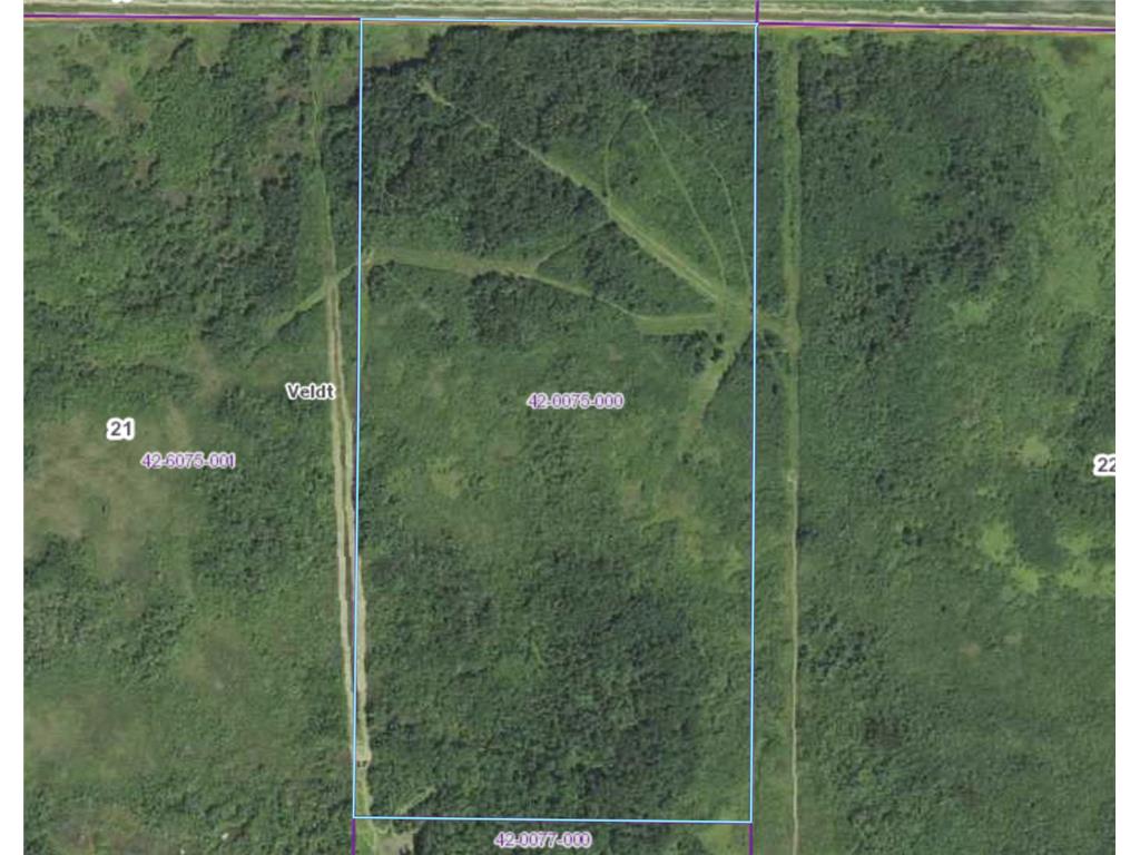 TBD 370th street NE Veldt Twp MN 56724 6456835 image1