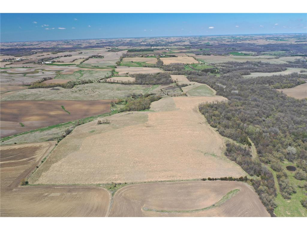 TBD 375th Avenue Zumbro Twp MN 55991 6715436 image1