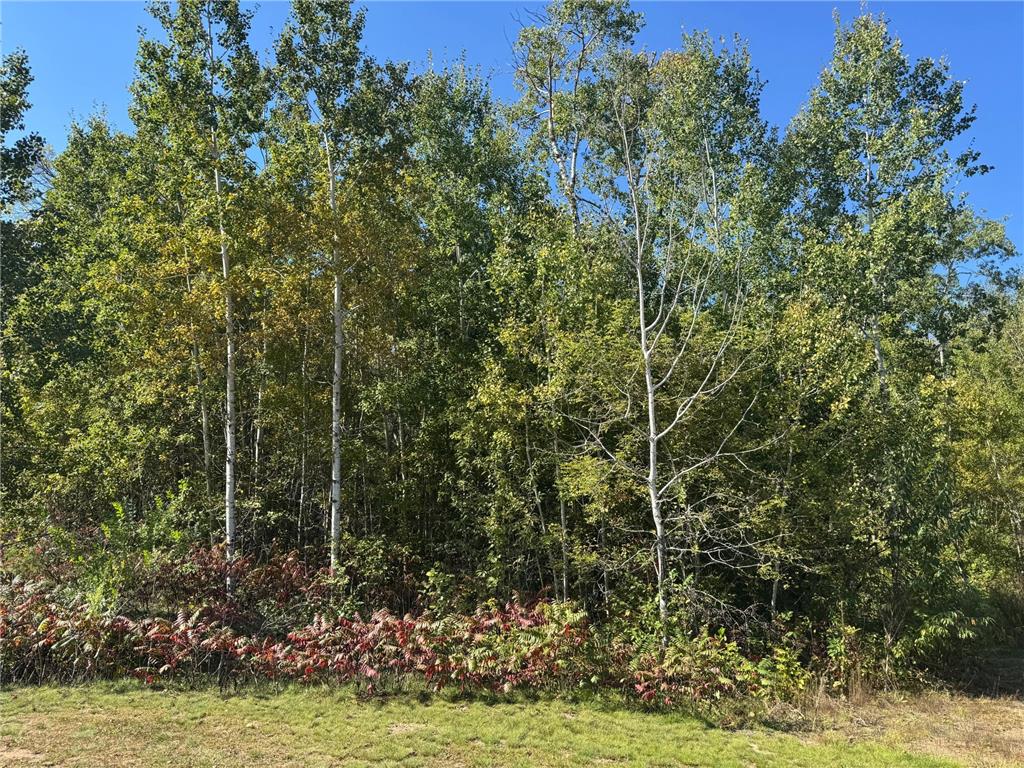 TBD 377th Street Perham MN 56573 6793554 image7