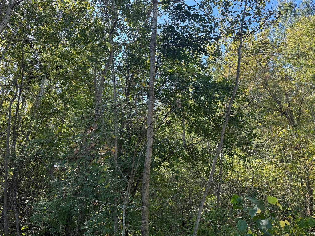 TBD 377th Street Perham MN 56573 6793554 image8