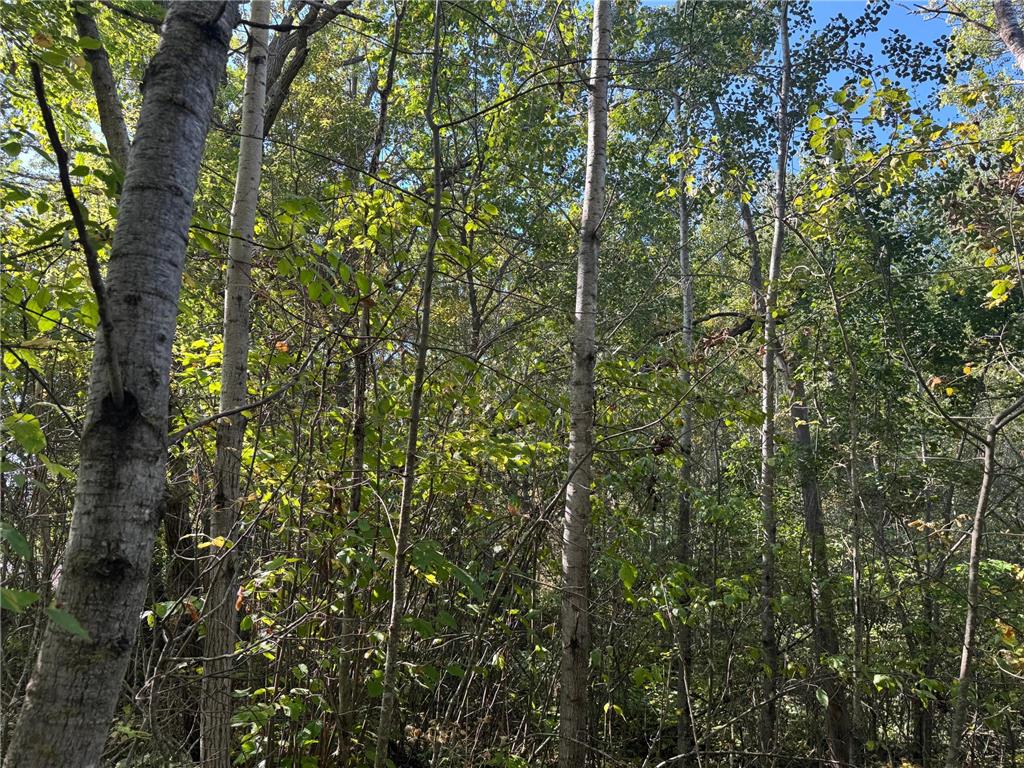 TBD 377th Street Perham MN 56573 6793554 image9