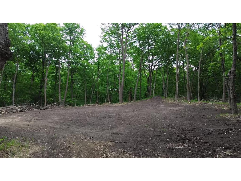 TBD 380TH Street Dent MN 56528 7084679 image17