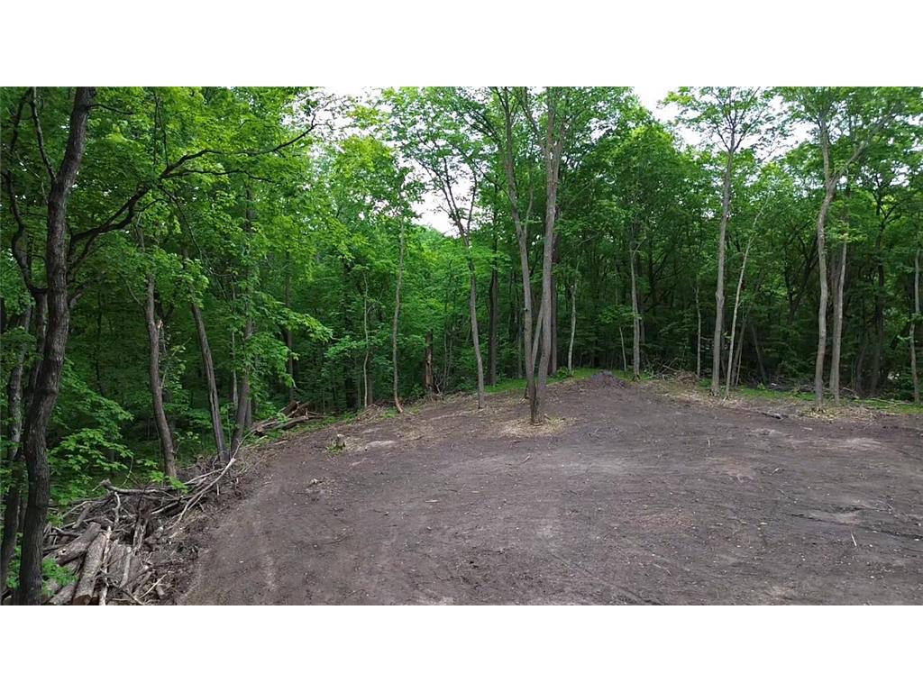 TBD 380TH Street Dent MN 56528 7084679 image20