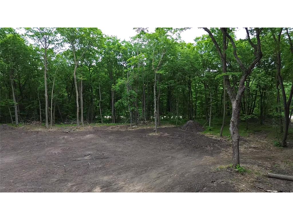 TBD 380TH Street Dent MN 56528 7084679 image21