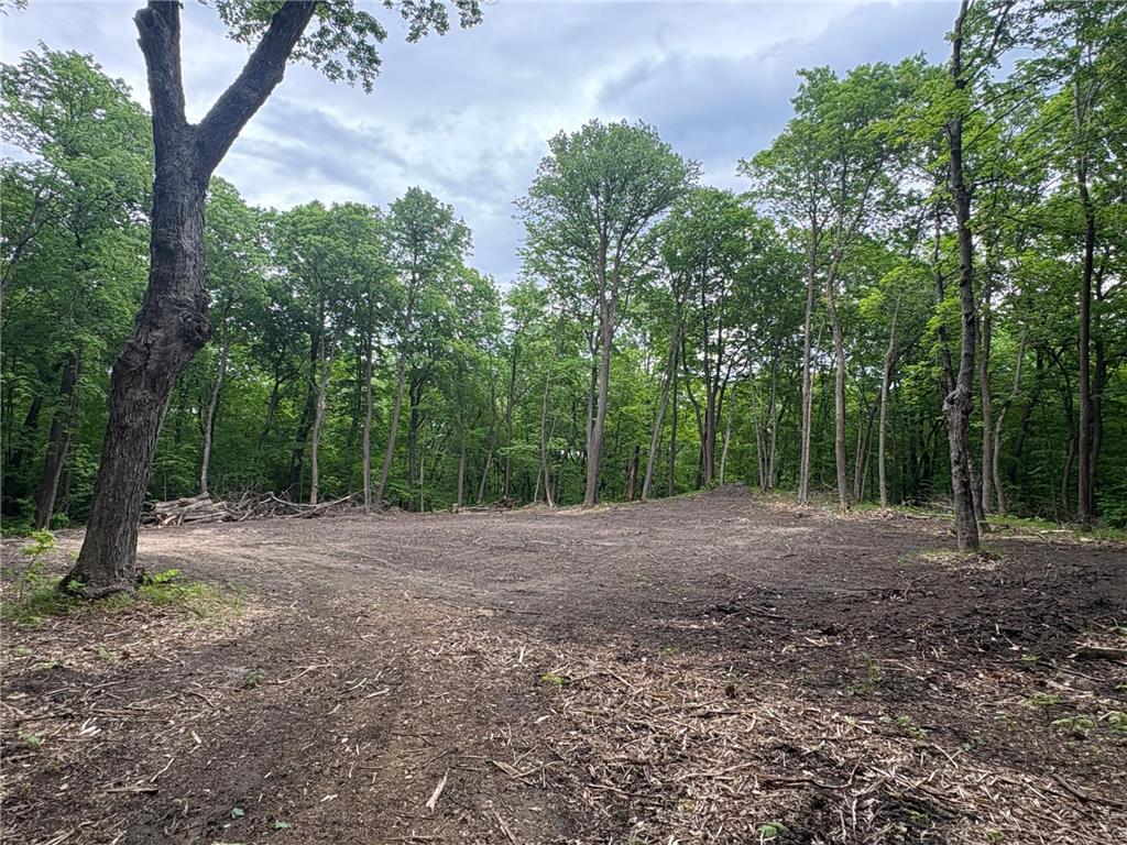 TBD 380TH Street Dent MN 56528 7084679 image23