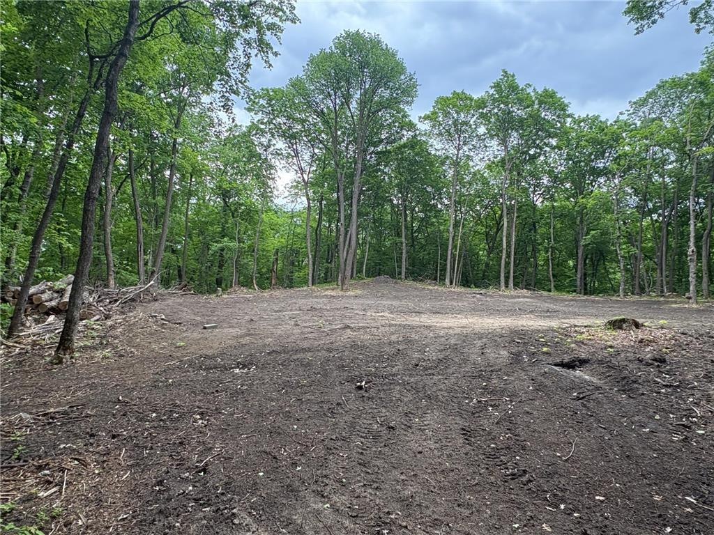 TBD 380TH Street Dent MN 56528 7084679 image25
