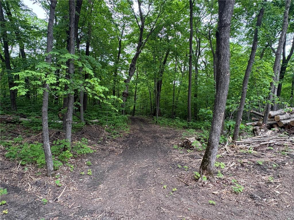 TBD 380TH Street Dent MN 56528 7084679 image26