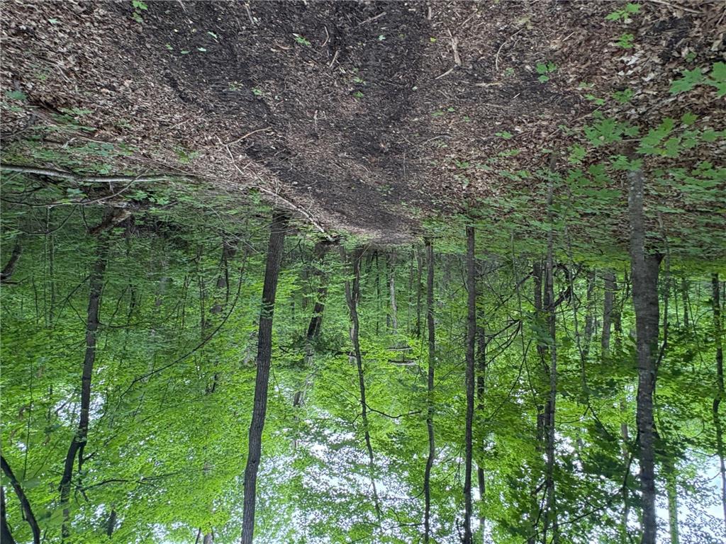 TBD 380TH Street Dent MN 56528 7084679 image31