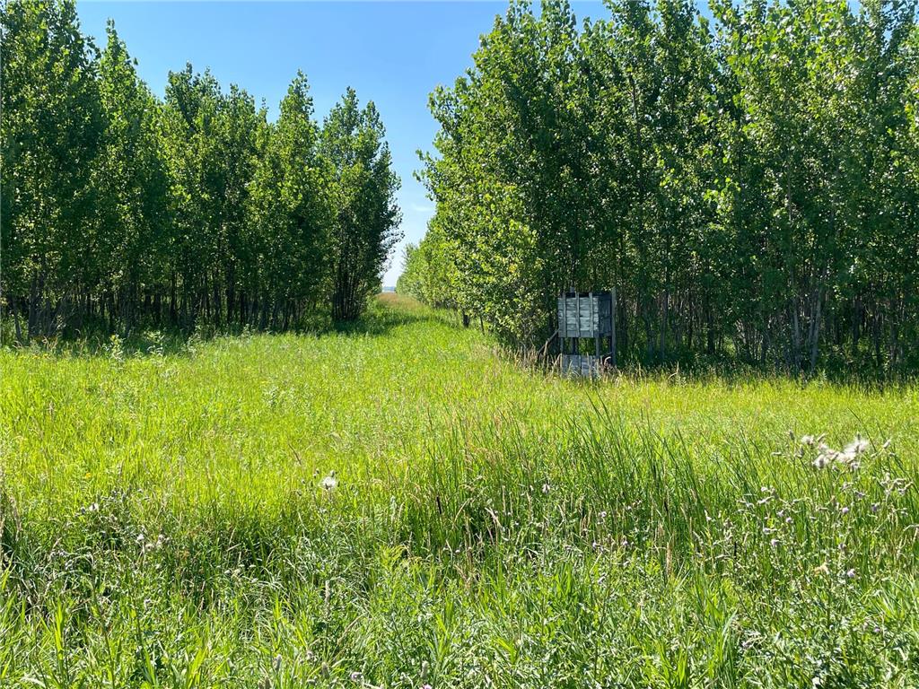 TBD 380th Avenue NE Star Twp MN 56725 6583657 image1