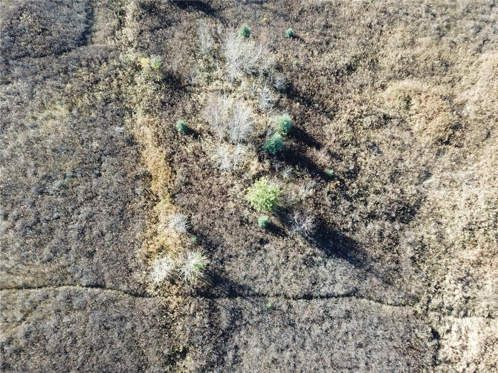 TBD 380th Street New Maine Twp MN 56738 6808878 image13