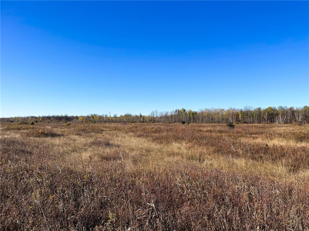 TBD 380th Street New Maine Twp MN 56738 6808878 image24