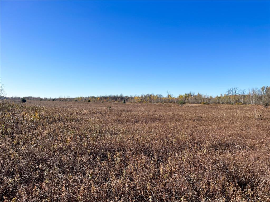 TBD 380th Street New Maine Twp MN 56738 6808878 image25