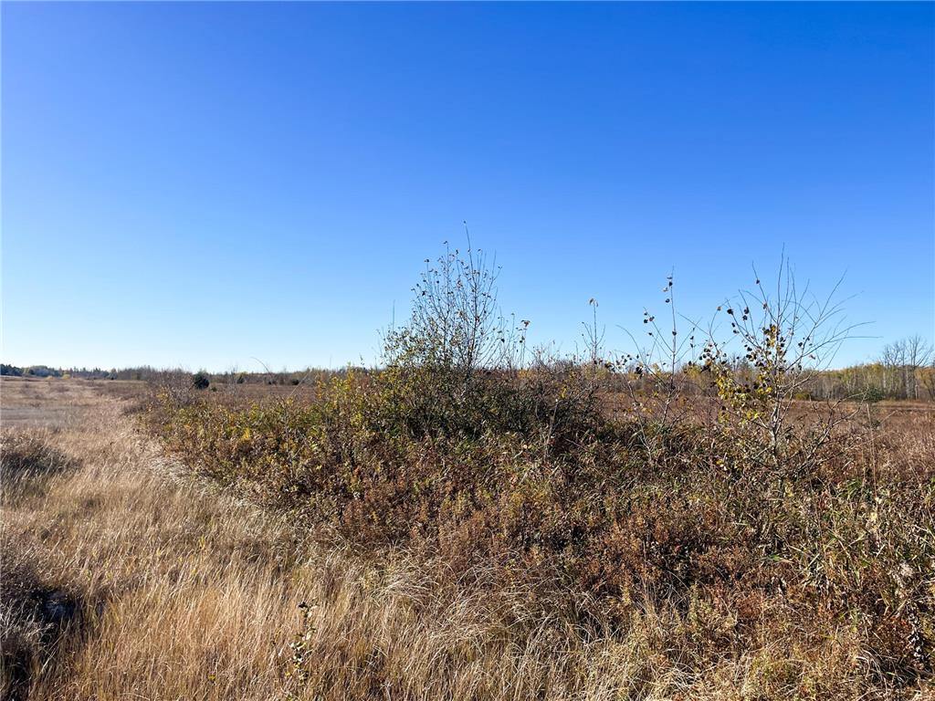 TBD 380th Street New Maine Twp MN 56738 6808878 image26