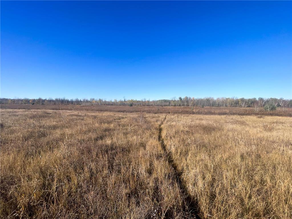 TBD 380th Street New Maine Twp MN 56738 6808878 image28