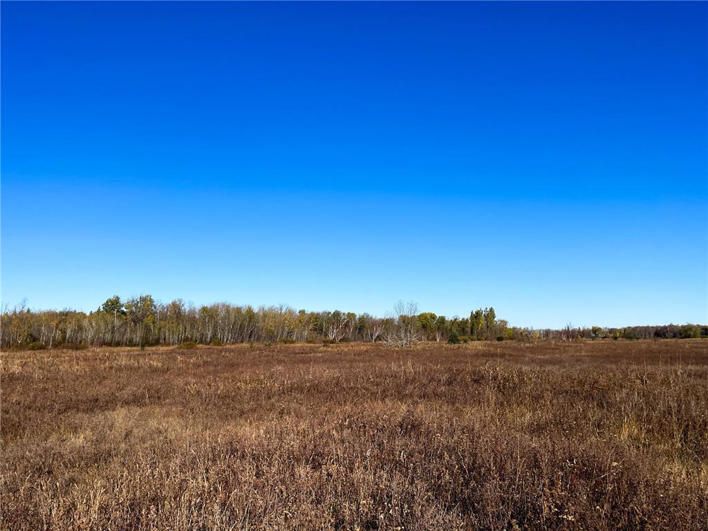 TBD 380th Street New Maine Twp MN 56738 6808878 image30