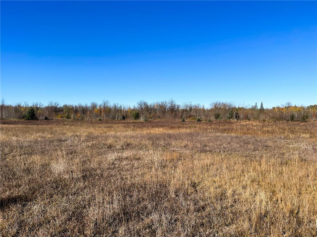 TBD 380th Street New Maine Twp MN 56738 6808878 image31